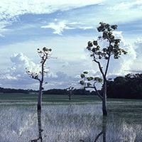 Foto da galeria achutti